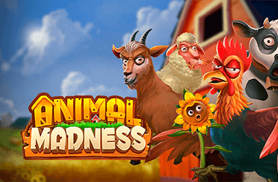 animal-madness